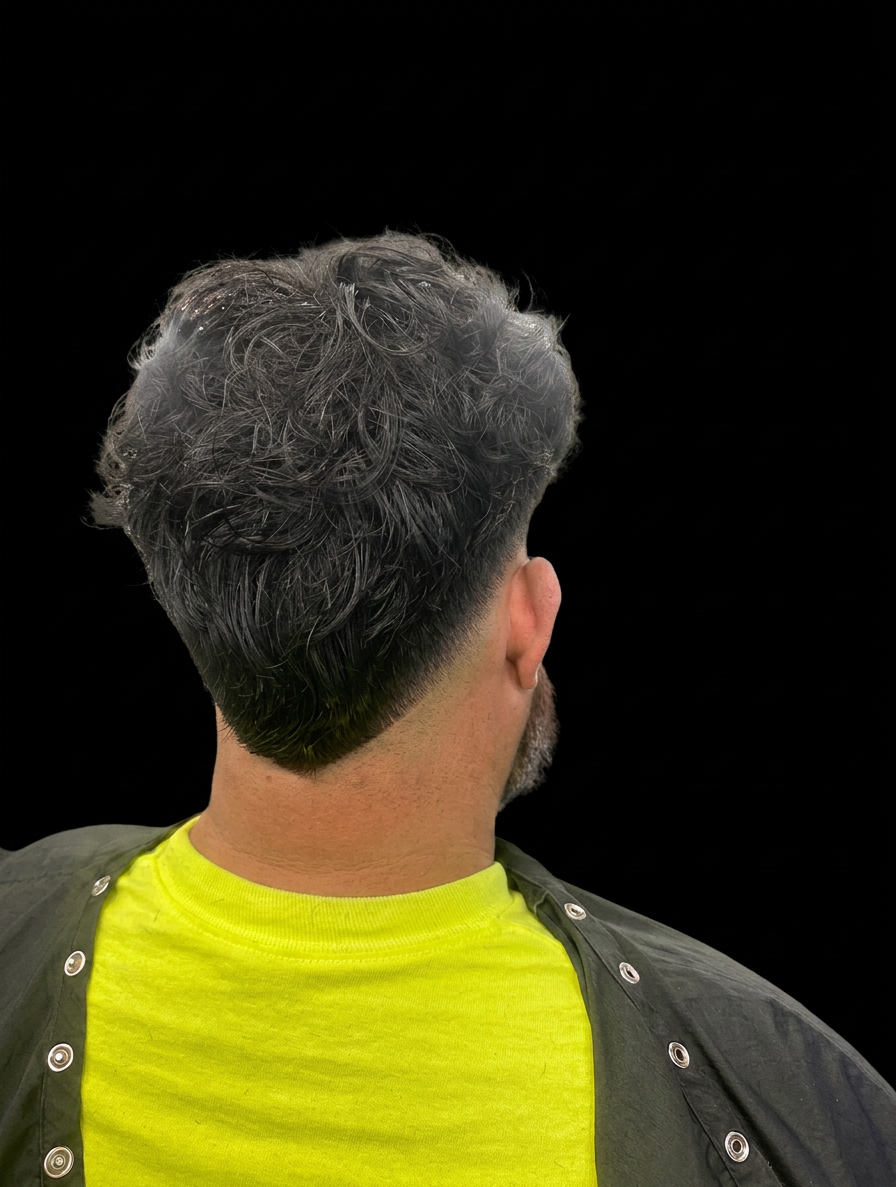 Curly haircut from the back with natural volume and fade